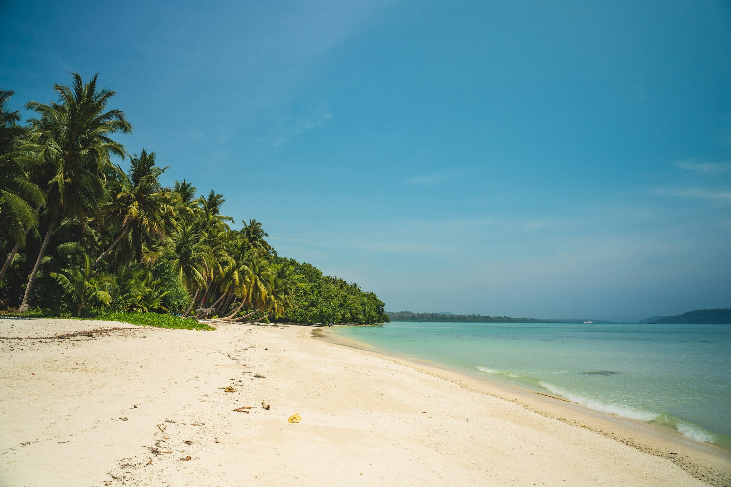 Palm trees above a white-sand beach and clear turquoise water in the Andaman Islands